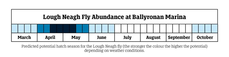 Lough Neagh Fly Abundance monthly indicator