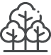 Requests for Tree Preservation Order Assessments
