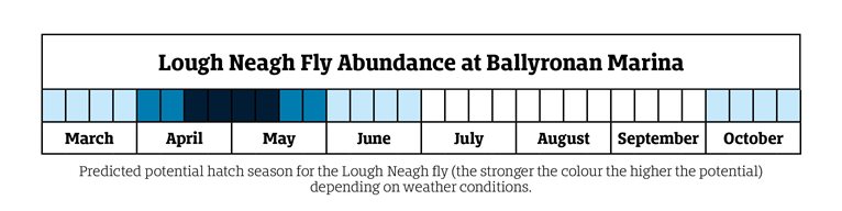 A graphic showing the hatching months of the Lough Neagh fly